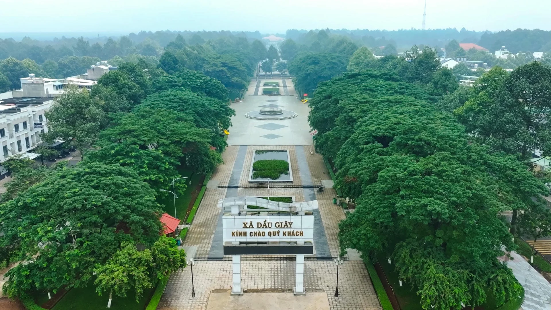 Tin tức The Link City