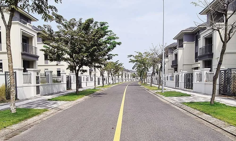 Tin tức The Link City