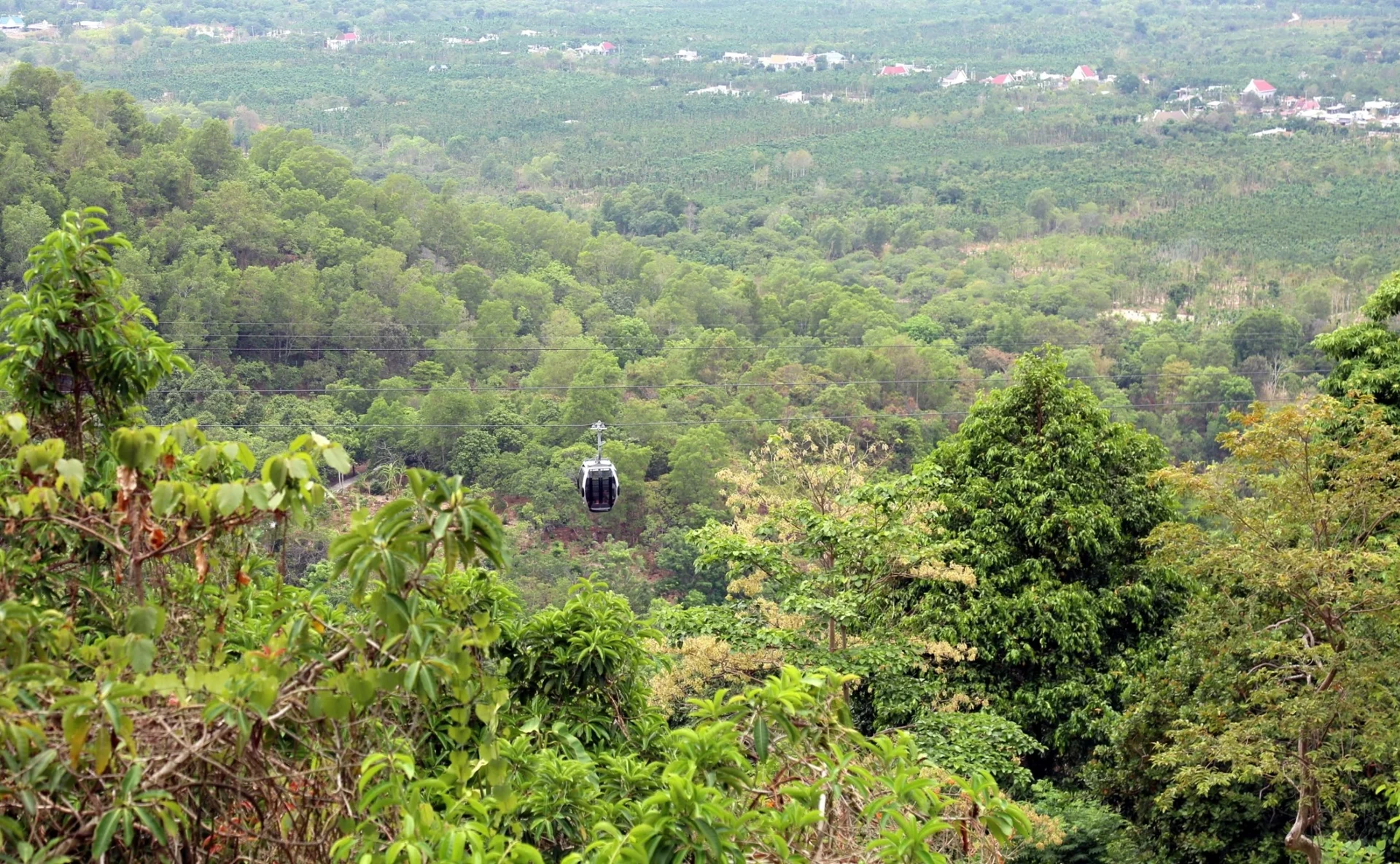 Tin tức The Link City
