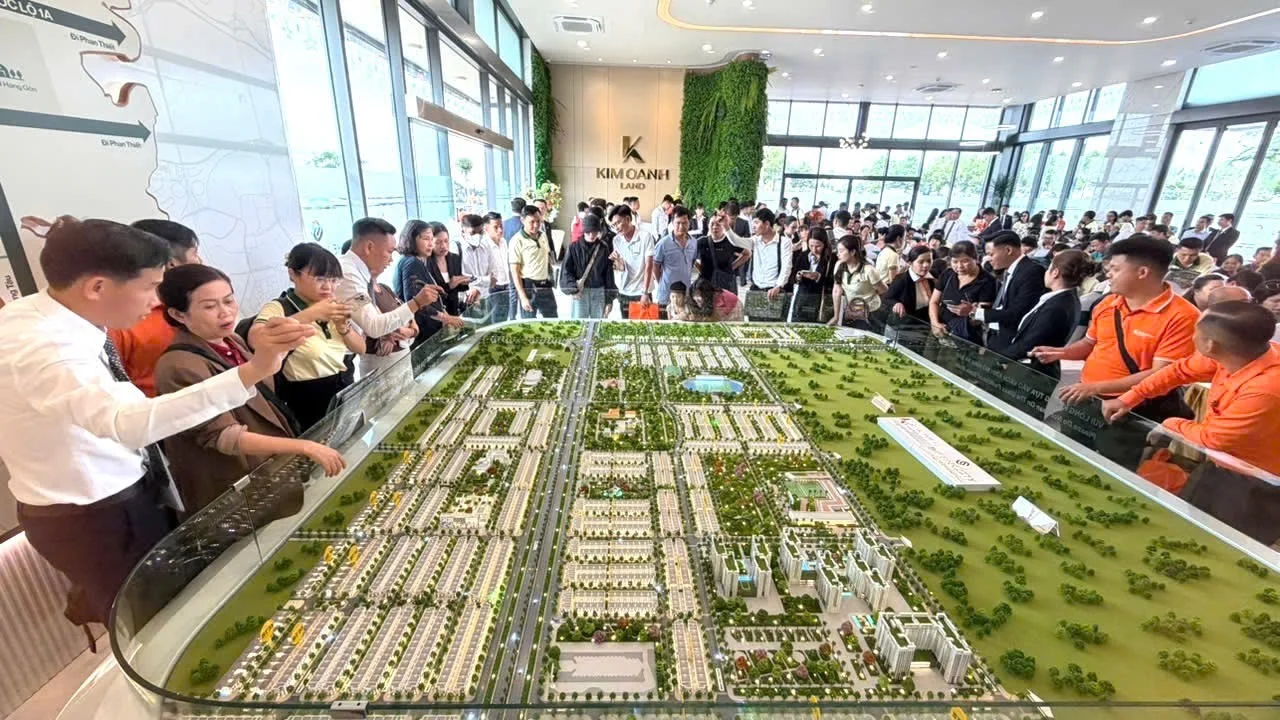 Tin tức The Link City