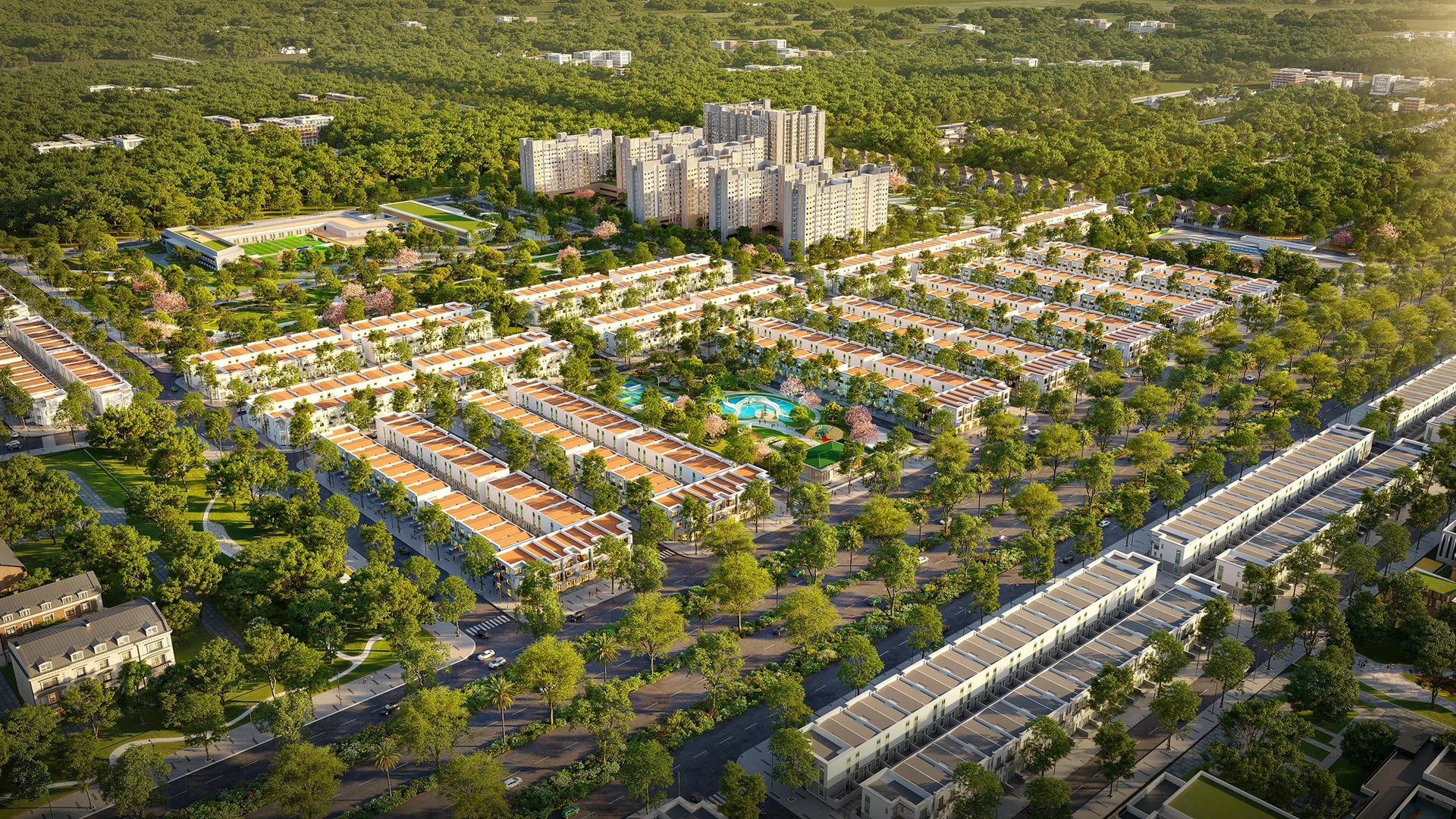 Tin tức The Link City