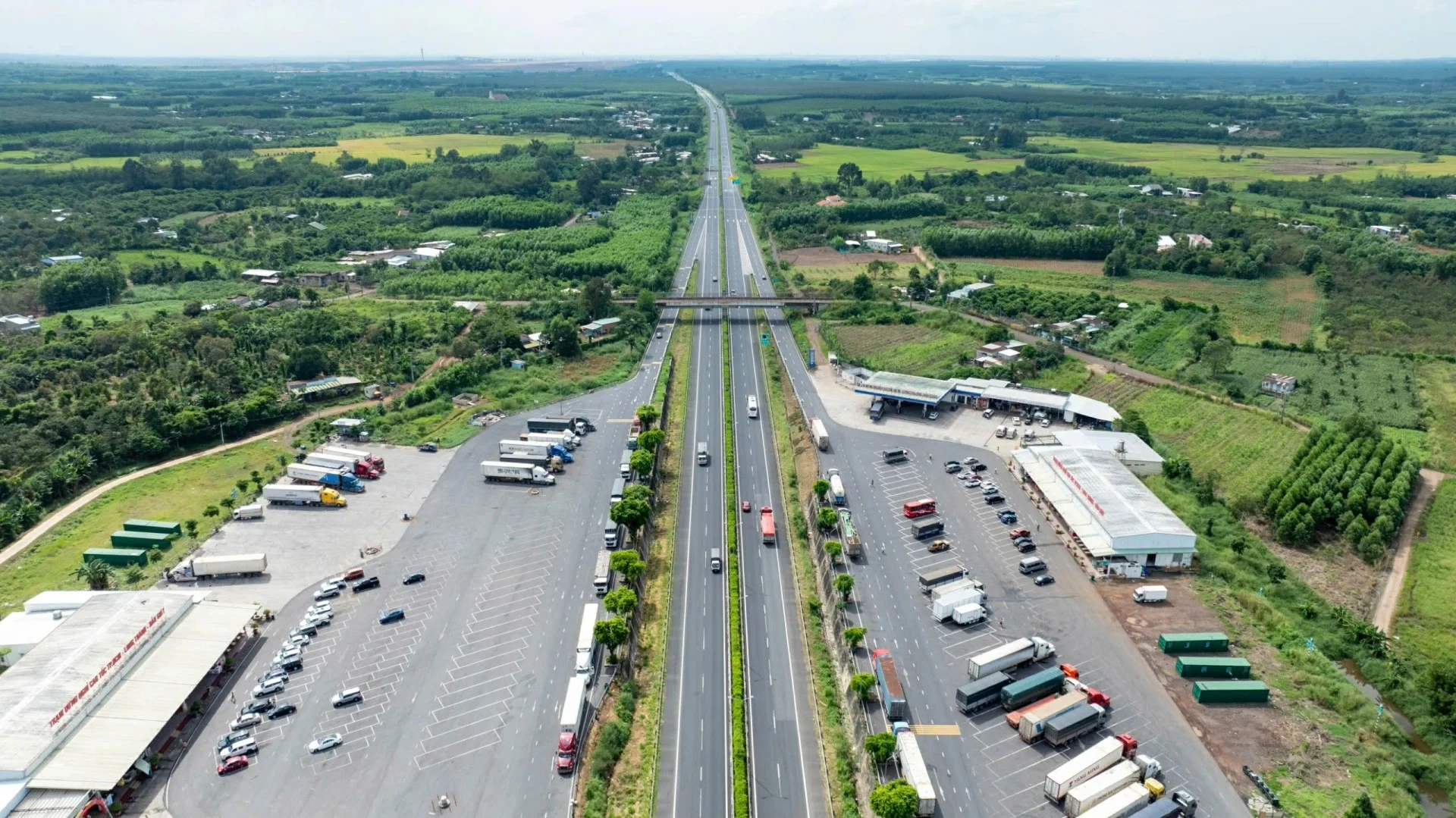 Tin tức The Link City